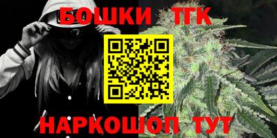 МДПВ Камышлов