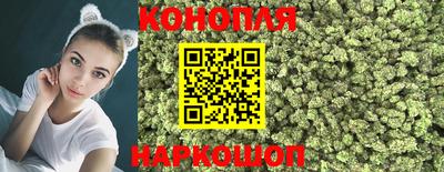 МДПВ Камышлов